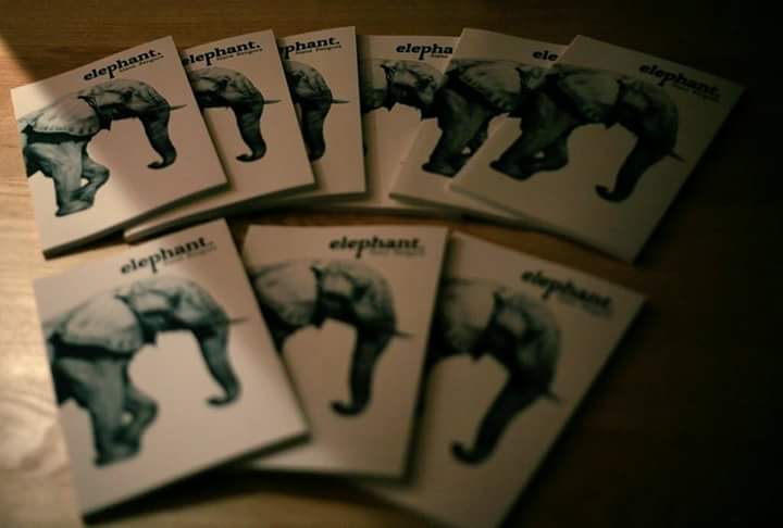 One Year of ‘Elephant’: Triumphs, milestones, and remembrance – A personal essay by Siana